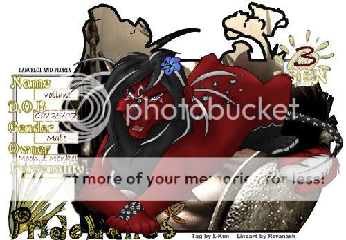 User Image